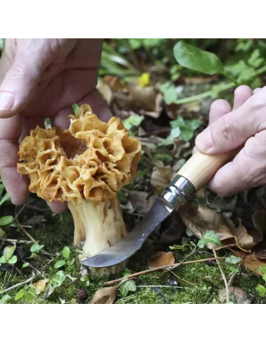 Couteau à champignon N°08 - Opinel - Le Club Biotope