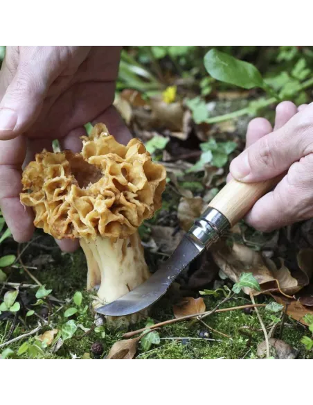 Cuchillo de champiñón N°08 - Opinel