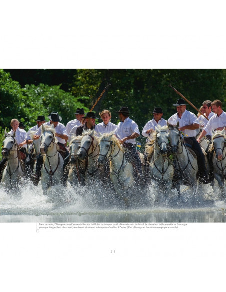 France Sauvage - Camargue