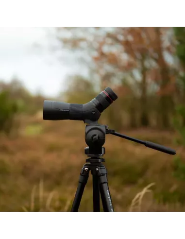 Mini Long View Kite Optics SP 56 con ocular 12-36x incluido - Le Club Biotope
