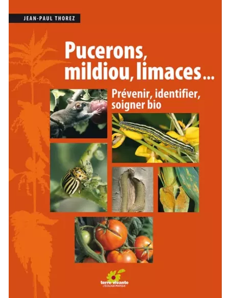 Pucerons, mildiou, limaces…