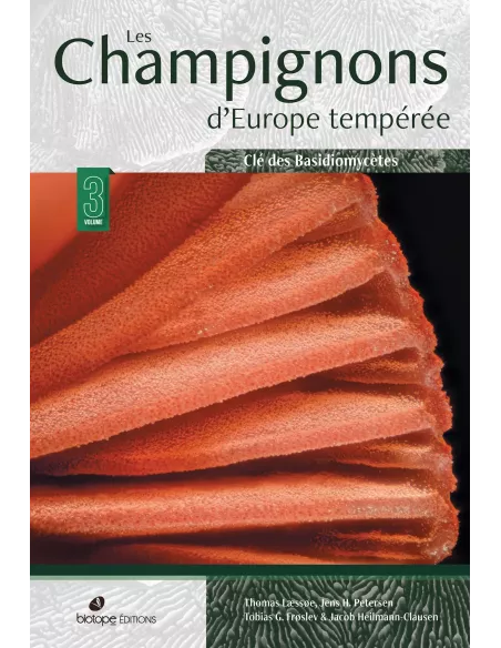 Les champignons d'Europe tempérée - Volume 3