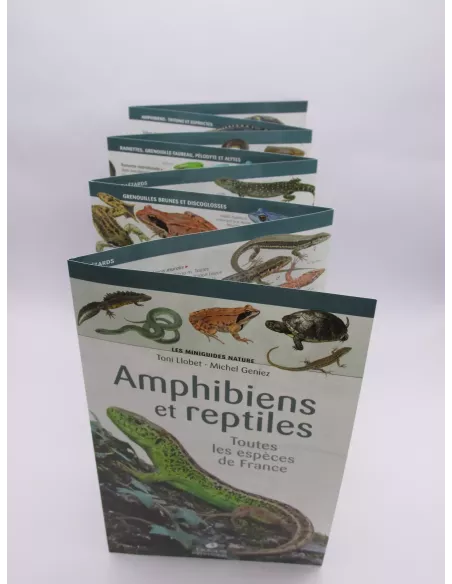 Mini-naturführer - Amphibien und Reptilien