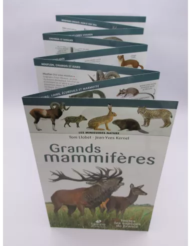 Nature Mini-Guide - Large Mammals