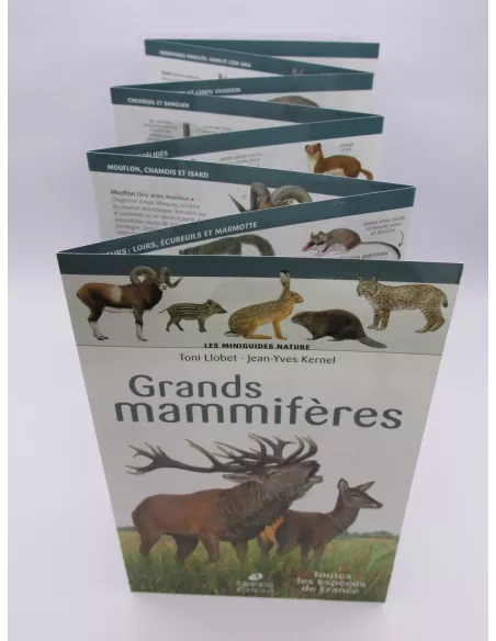 Nature Mini-Guide - Large Mammals