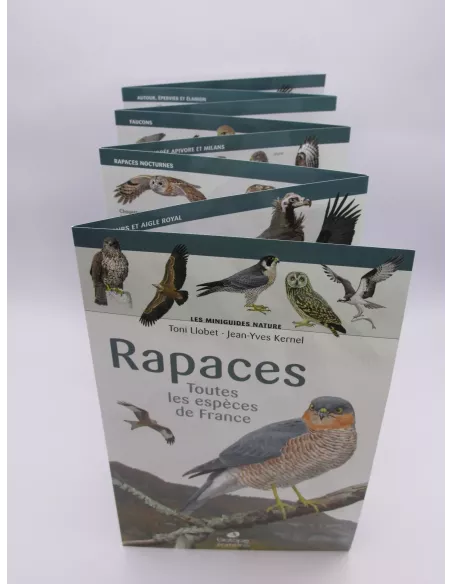 Miniguide nature - Rapaces