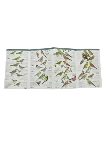 Dépliant Oiseaux des jardins