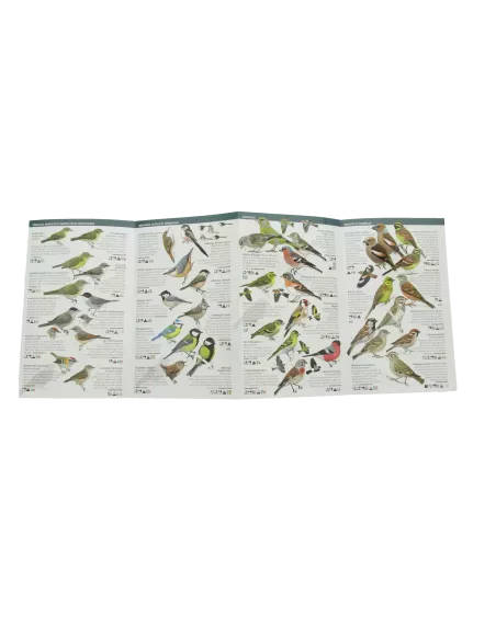 Dépliant Oiseaux des jardins