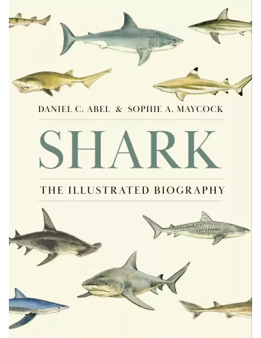Shark The Illustrated Biography