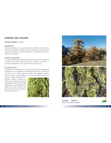 Lichens, une introduction