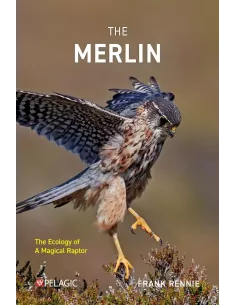 The Merlin