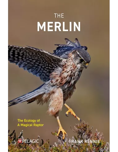 The Merlin