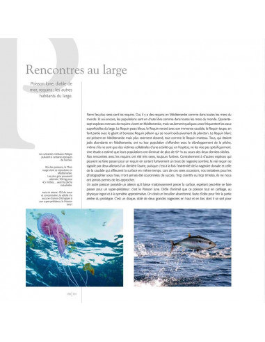 Cétacés en Méditerranée - 12 ans...