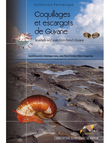 Coquillages et escargots de Guyane - Seashells and snails from French Guiana