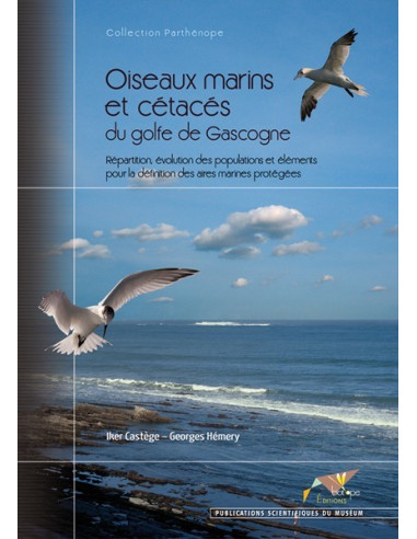 Oiseaux marins et cétacés du golfe de Gascogne