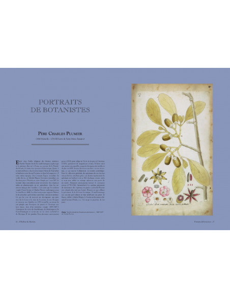 L'herbier du Muséum - L'aventure d'une collection