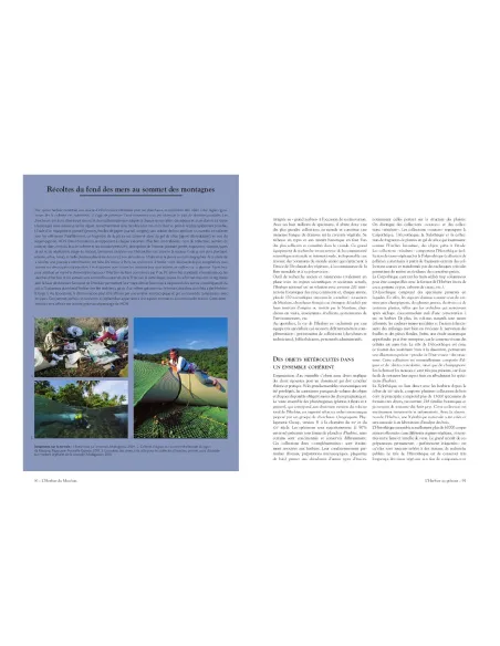 L'herbier du Muséum - L'aventure d'une collection