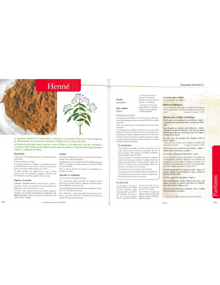 Au jardin des plantes de la Bible - Botanique, symboles et usages