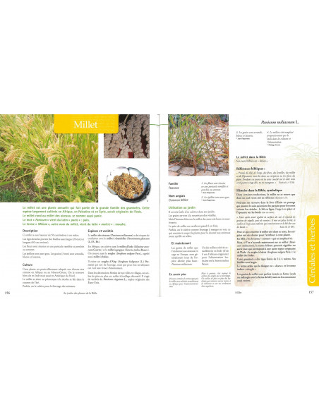 Au jardin des plantes de la Bible - Botanique, symboles et usages