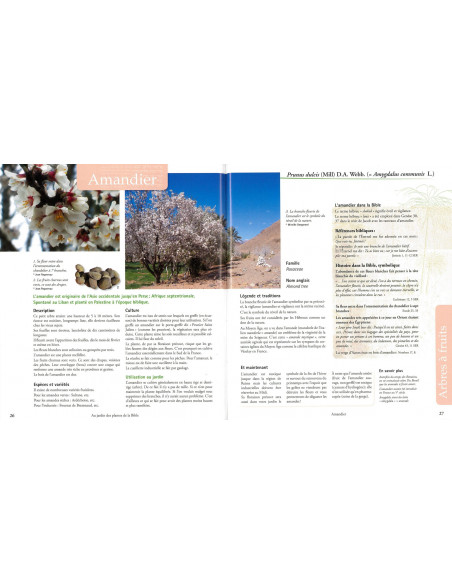 Au jardin des plantes de la Bible - Botanique, symboles et usages