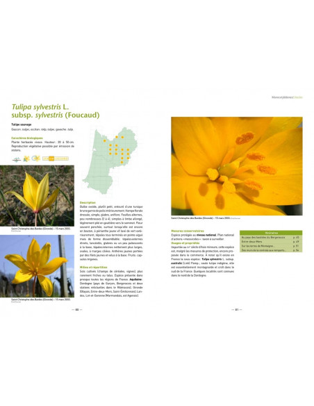 Fleurs des vignes et fleurs des blés en Aquitaine