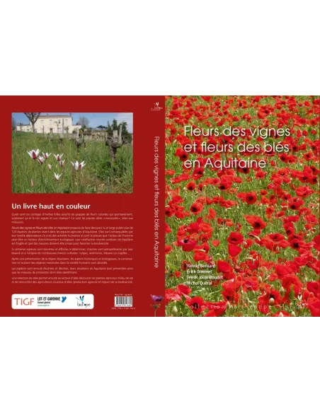 Fleurs des vignes et fleurs des blés en Aquitaine