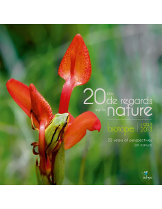 A 20 years look deep into nature