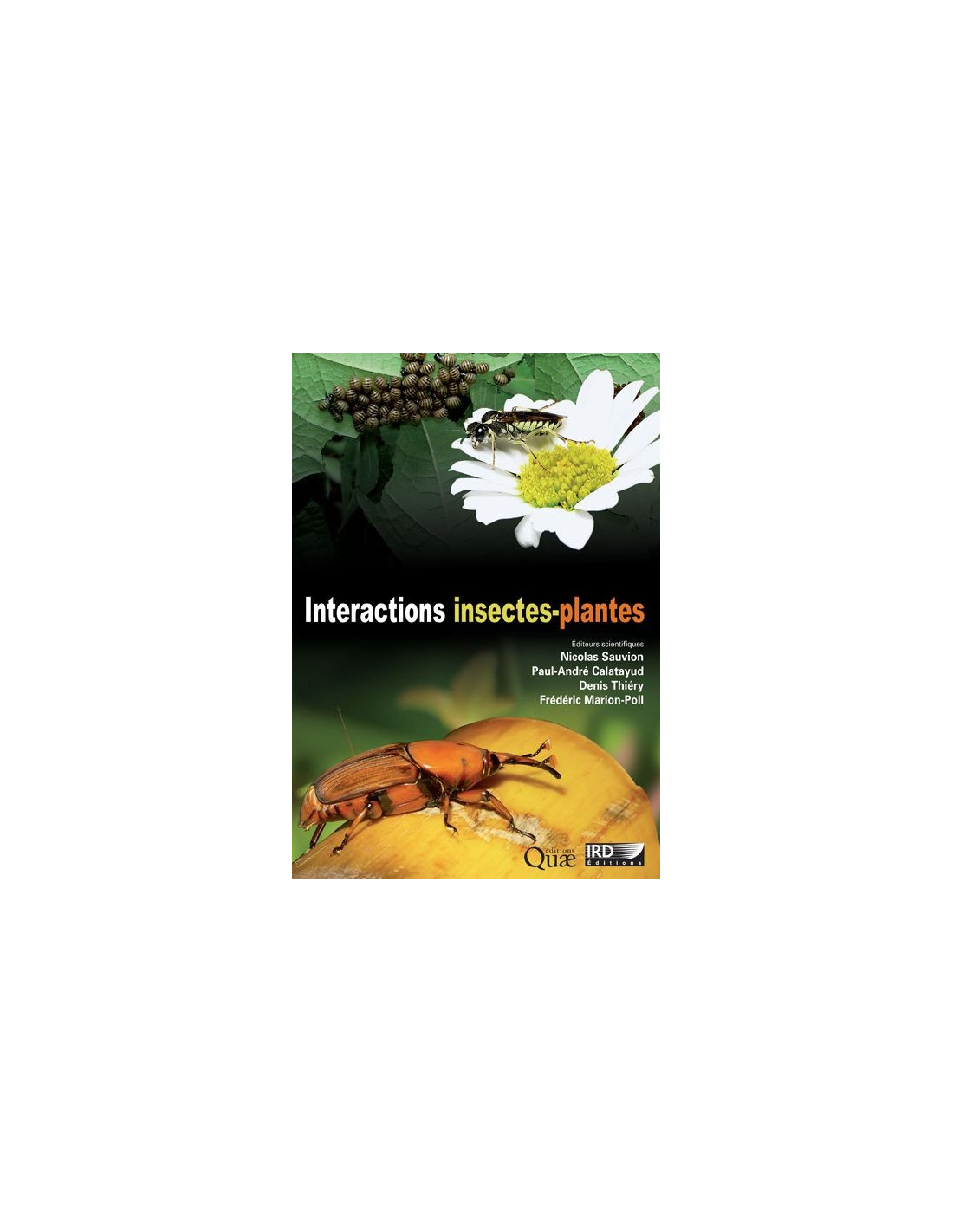 Guide du naturaliste  12 espèces d'insectes communs