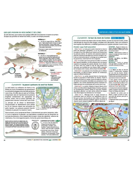 Guide nature - Randonnées le long du Rhône
