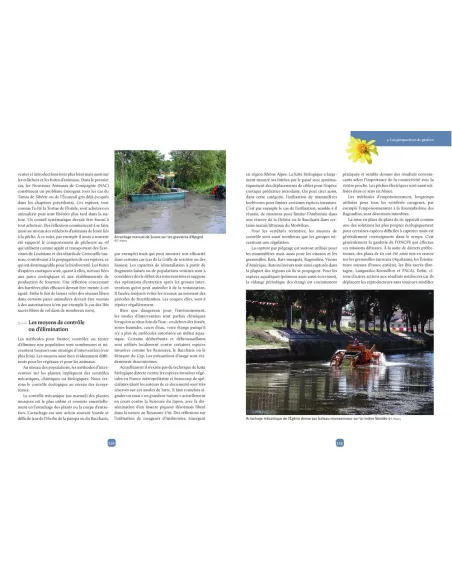 Espèces invasives en Bretagne - Plantes et vertébrés continentaux