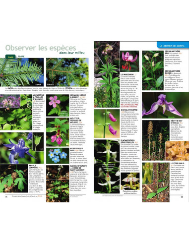 Guide nature - Randonnées en...