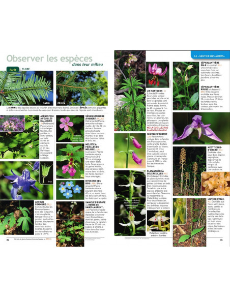 Guide nature - Randonnées en Languedoc-Roussillon