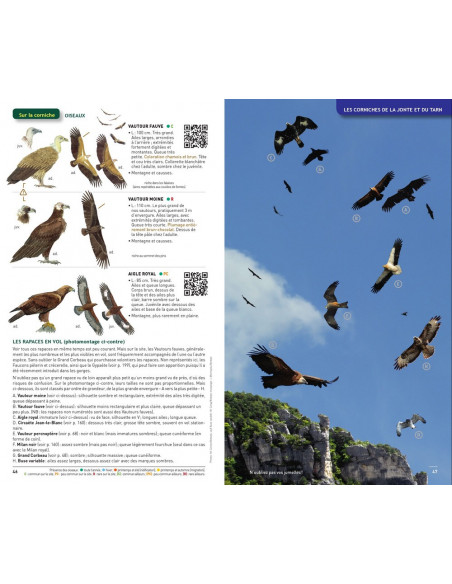 Guide nature - Randonnées en Languedoc-Roussillon