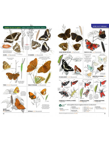 Guide nature - Randonnées en...