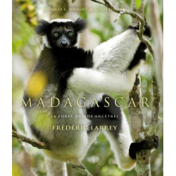 MADAGASCAR - The forest of our ancestors (English version)