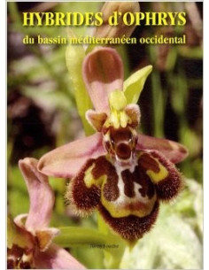 Hybrides d'ophrys du bassin...
