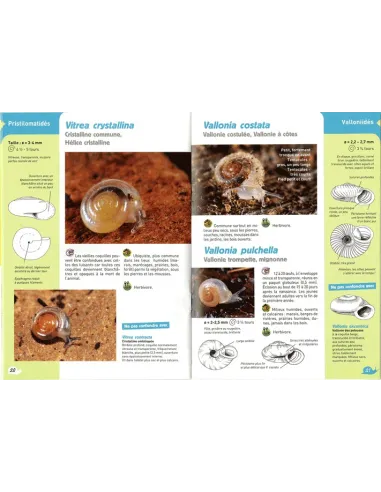 Guide des Escargots et des Limaces -...