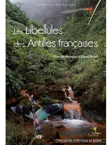 Les Libellules des Antilles françaises