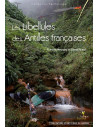 Les libellules des Antilles Françaises