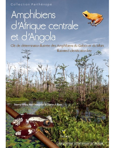 Amphibiens d'Afrique centrale et d'Angola