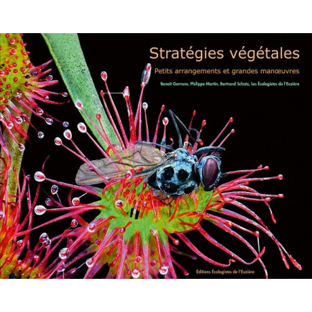 Stratégies végétales : petits arrangements et grandes manœuvres