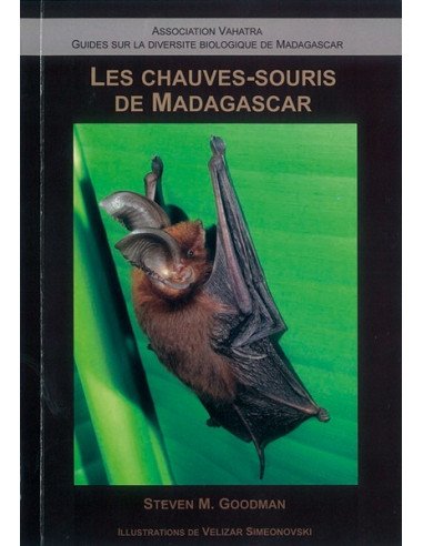 The Bats of Madagascar