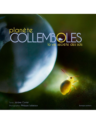 planète COLLEMBOLES - la vie secrète des sols