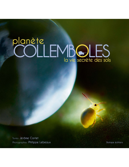 planète COLLEMBOLES - la vie secrète des sols
