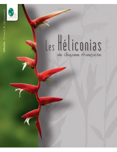 Les Héliconias de Guyane...