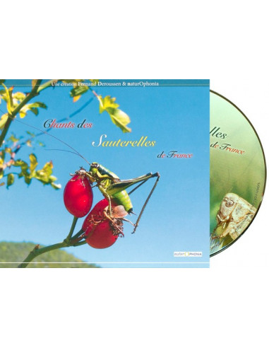CD songs of grasshoppers of France