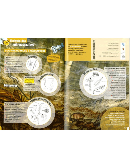 Au pays des minuscules