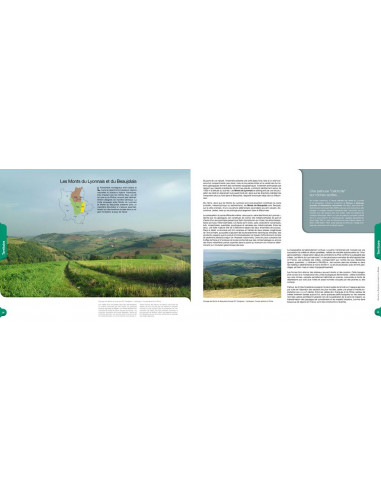 Plantes sauvages de la Loire et du Rhône - Atlas de la flore vasculaire