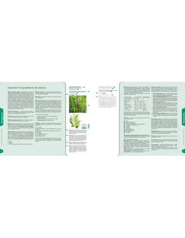 Plantes sauvages de la Loire et du Rhône - Atlas de la flore vasculaire