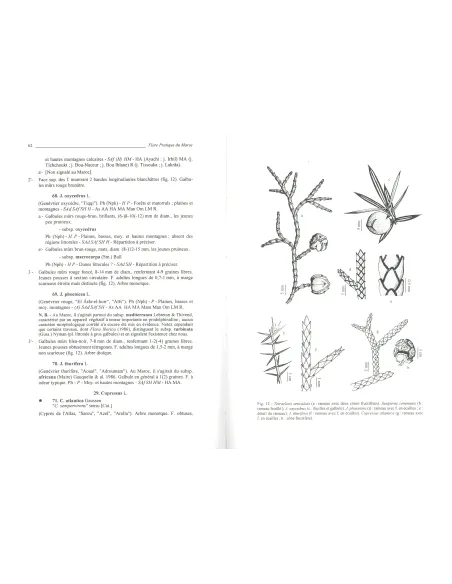 Flore pratique du Maroc Tome 1